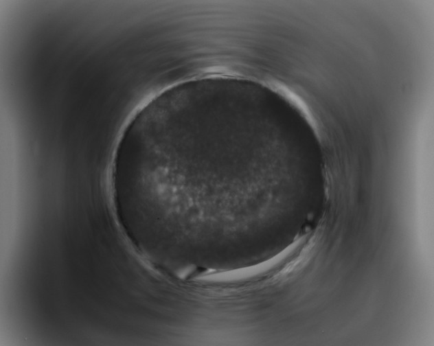 X0000094911373200712061040