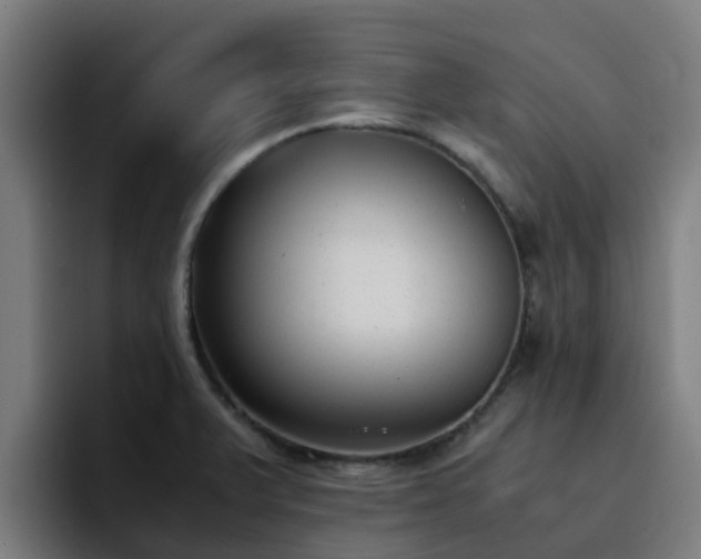 X0000094911375200712061040