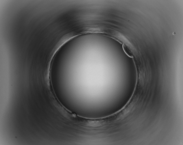 X0000094911378200712061040
