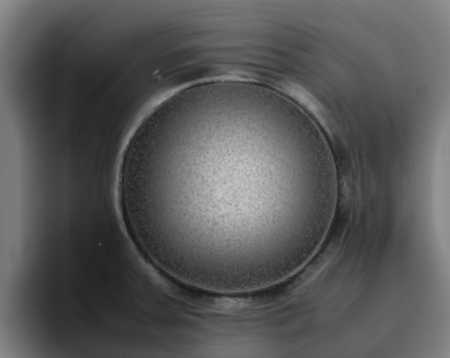 X0000094911379200712061040