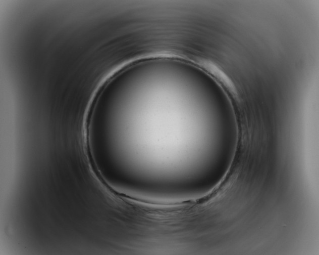 X0000094911380200712061040
