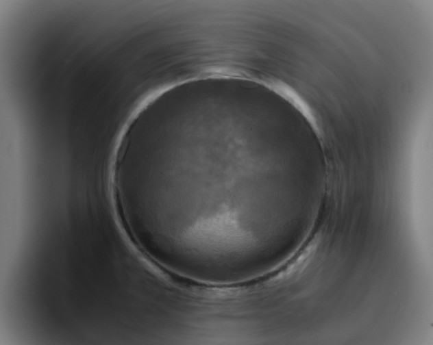 X0000094911381200712061040