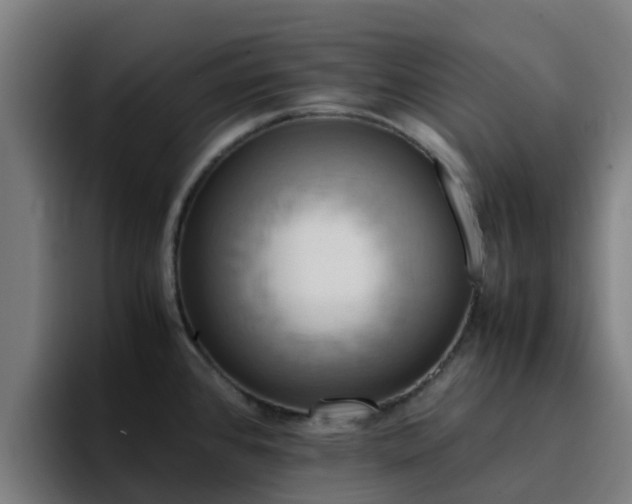 X0000094911384200712061040