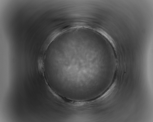 X0000094911385200712061040
