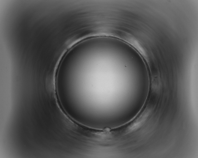 X0000094911388200712061040