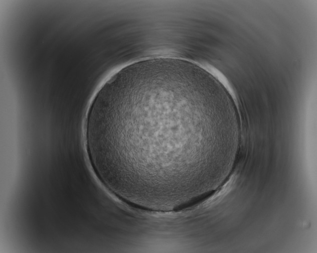 X0000094911389200712061040
