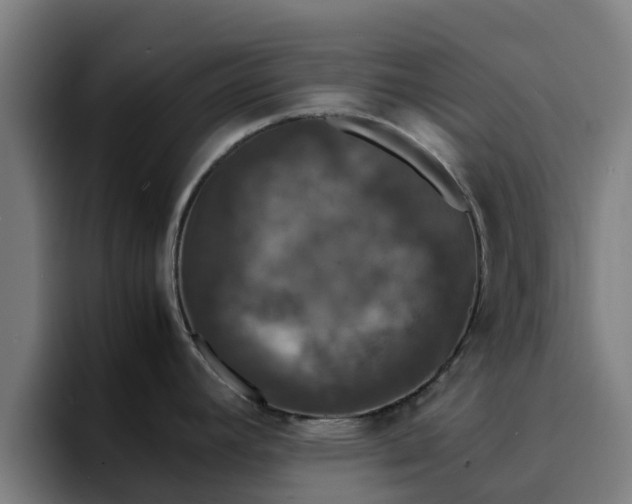 X0000094911392200712061040
