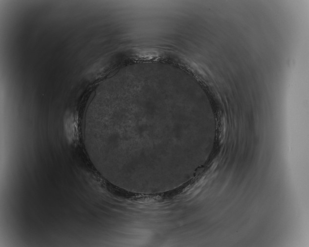 X0000094911394200712061039