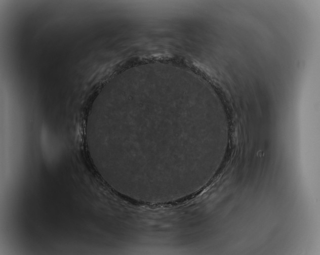 X0000094911397200712061039