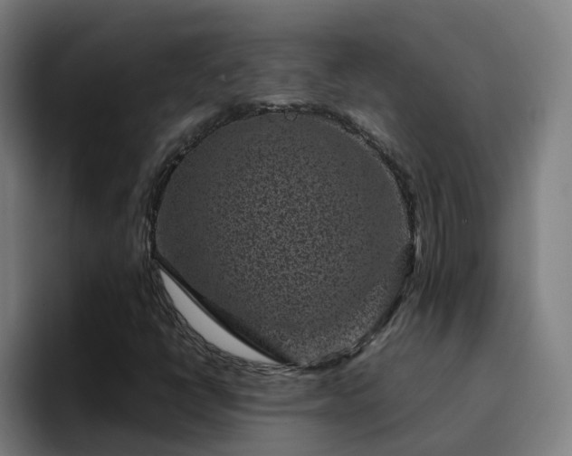 X0000094911398200712061039