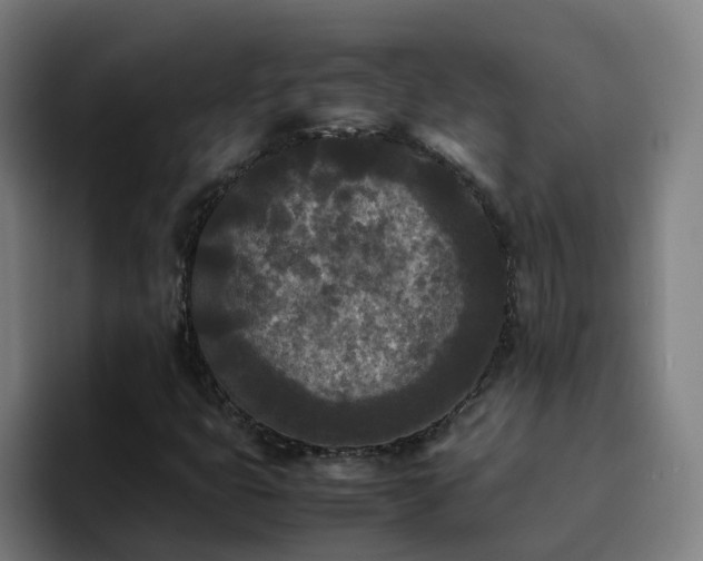 X0000094911399200712061039