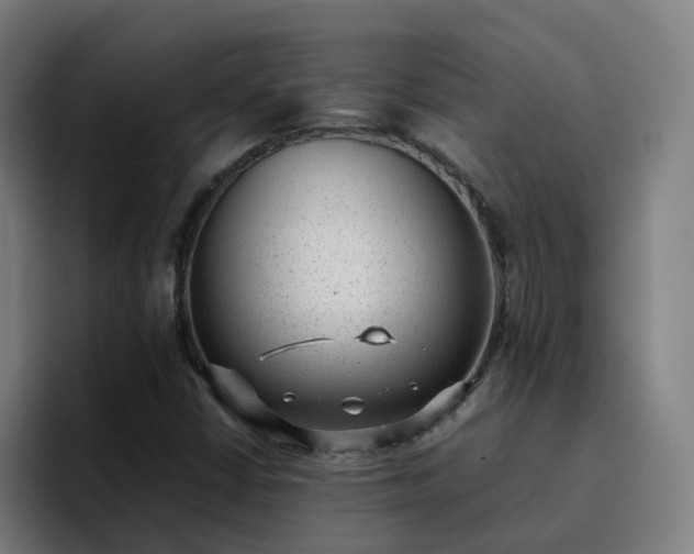 X0000094911402200712061039