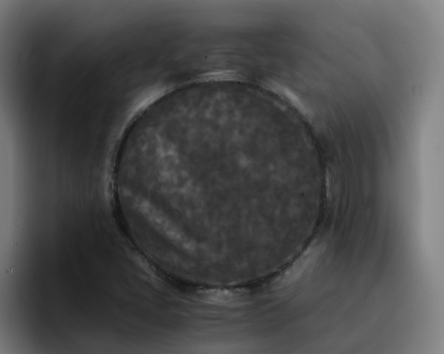 X0000094911405200712061039