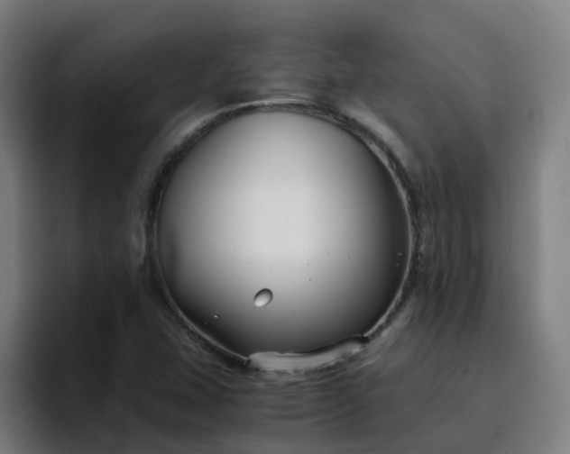X0000094911407200712061039