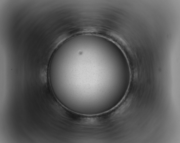 X0000094911409200712061039