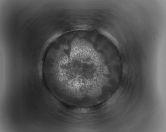 X0000094911411200712061039