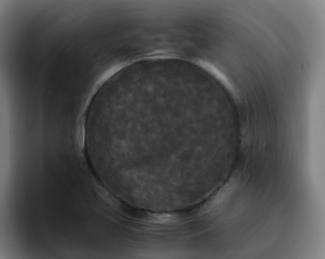 X0000094911413200712061039