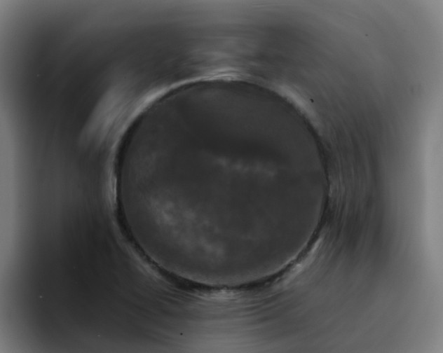 X0000094911414200712061039