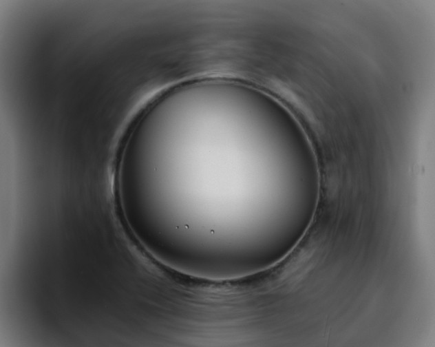 X0000094911416200712061039