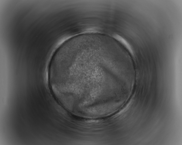 X0000094911419200712061040
