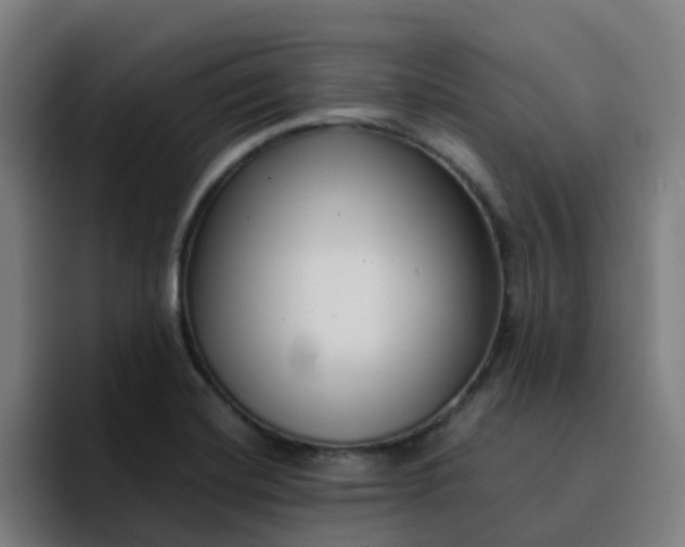 X0000094911420200712061040
