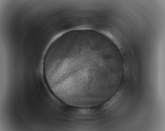X0000094911421200712061040