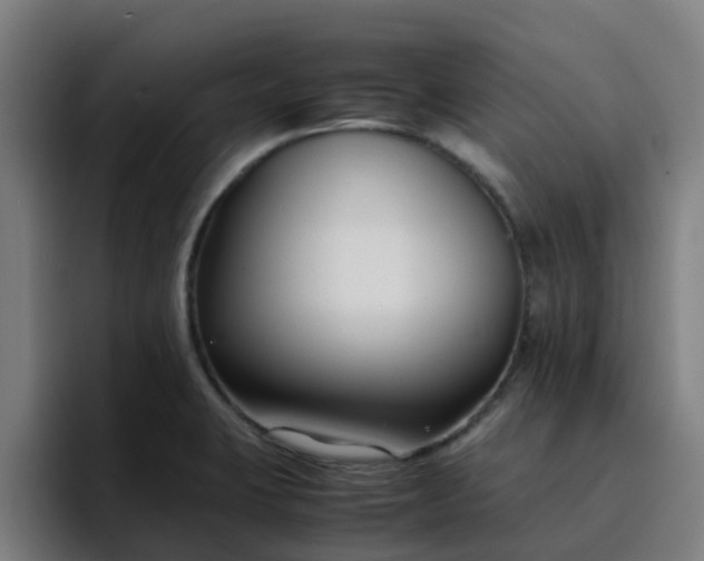 X0000094911423200712061040