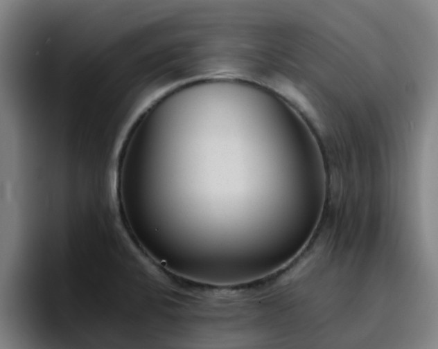 X0000094911424200712061040