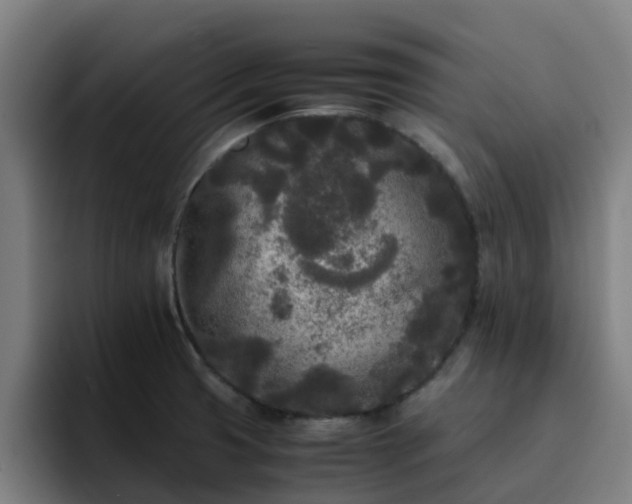 X0000094911425200712061040