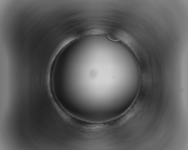 X0000094911426200712061040