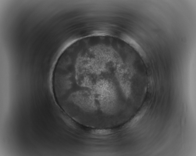 X0000094911427200712061040