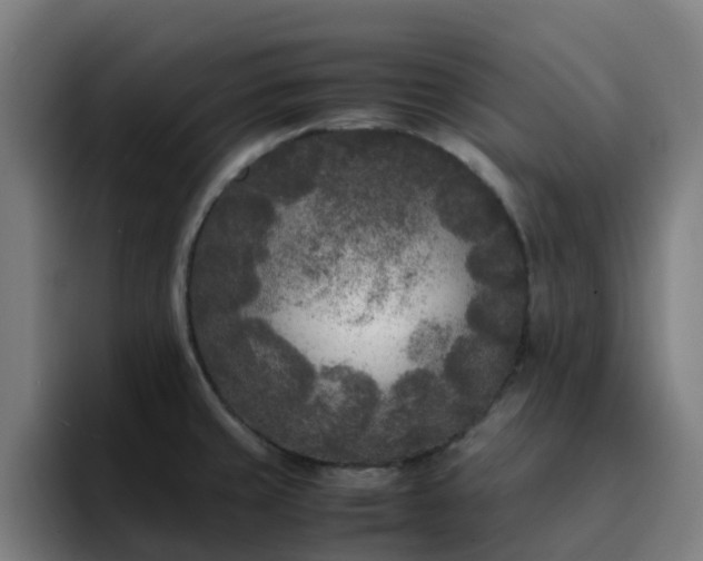 X0000094911429200712061040