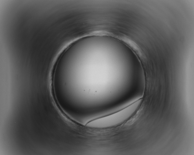 X0000094911430200712061040