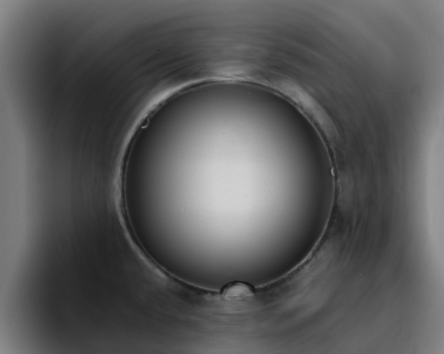 X0000094911432200712061040
