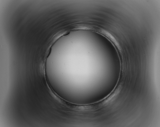 X0000094911433200712061040