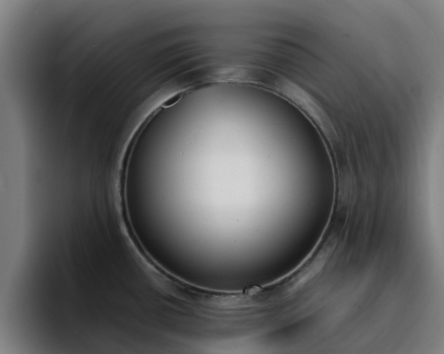 X0000094911434200712061040