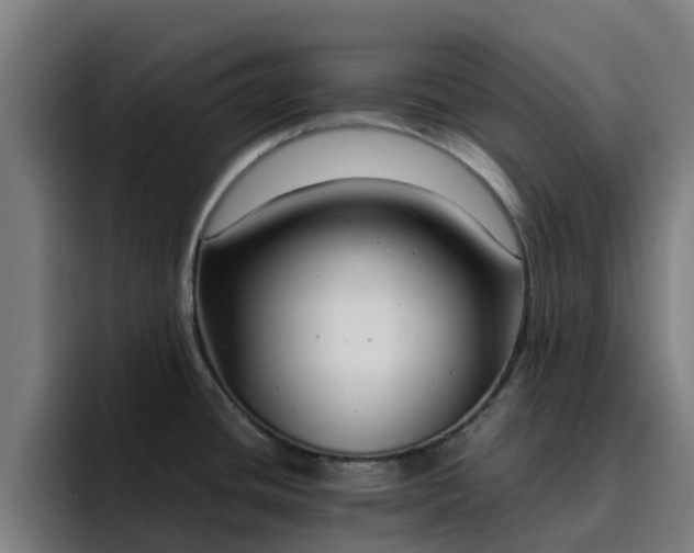X0000094911436200712061040