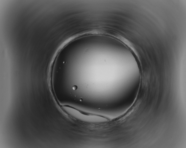 X0000094911437200712061040