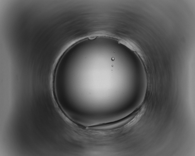 X0000094911438200712061040