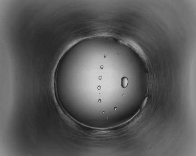 X0000094911439200712061040