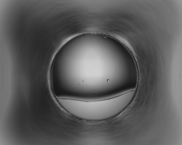 X0000094911440200712061040