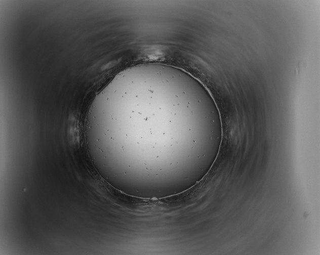 X0000094911442200712061039
