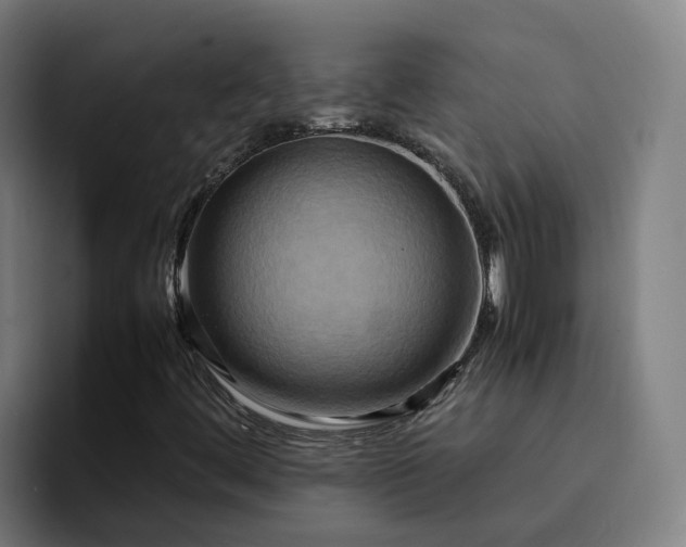 X0000094911444200712061039