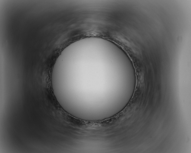 X0000094911446200712061039