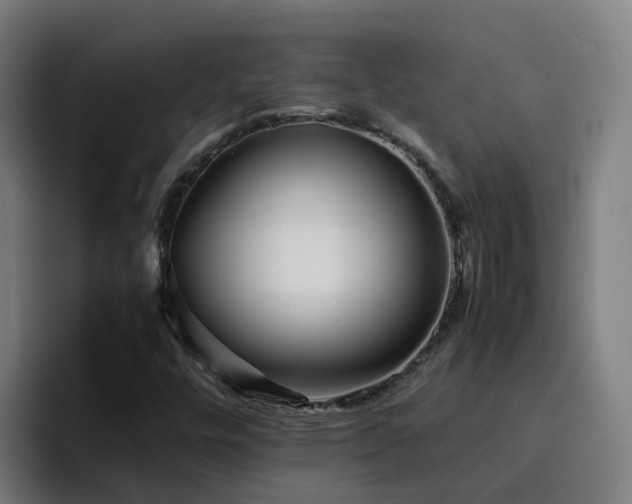 X0000094911448200712061039