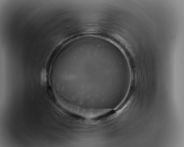X0000094911449200712061039