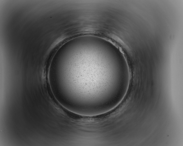 X0000094911450200712061039