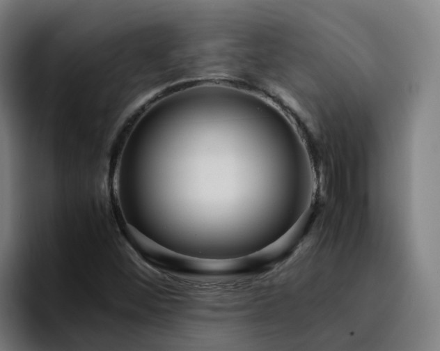 X0000094911452200712061039