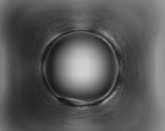 X0000094911453200712061039