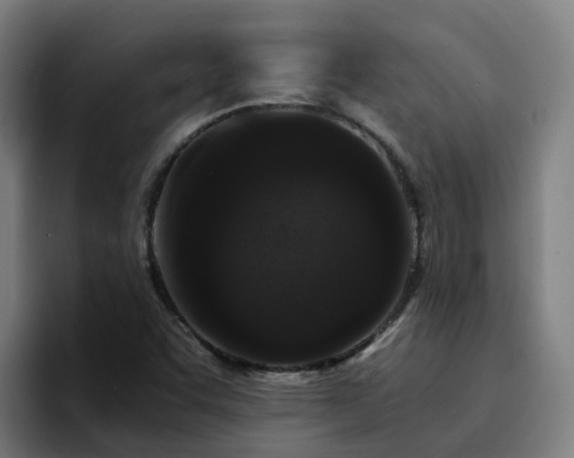 X0000094911455200712061039